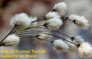 cotton textile industry