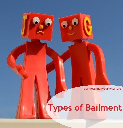 7 Different Types Of Bailment Updated With Bailment Examples