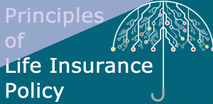 principles of life insurance policy