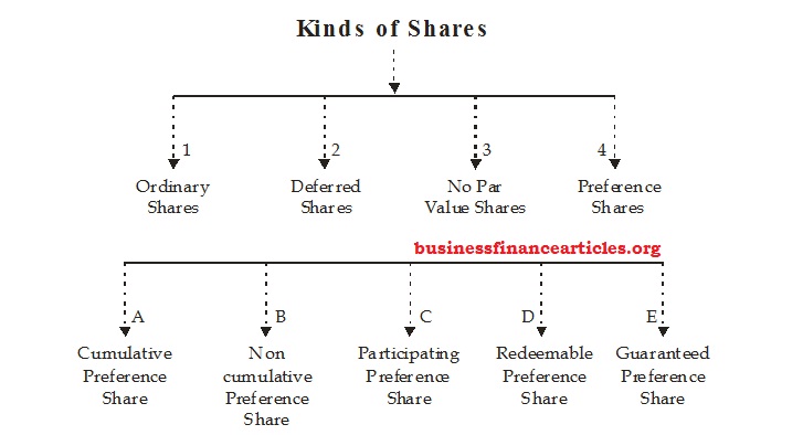 Kinds of shares in company