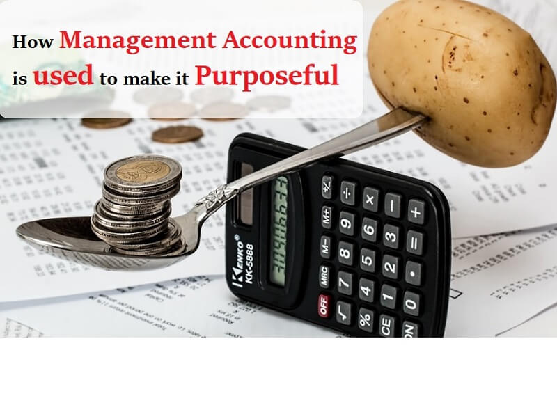 uses and purposes of management accounting