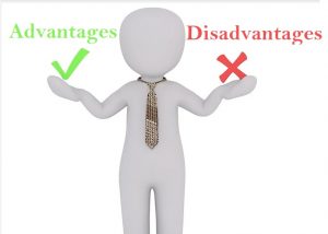 advantages disadvantages