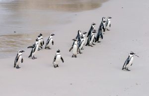 different styles of leadership in project management