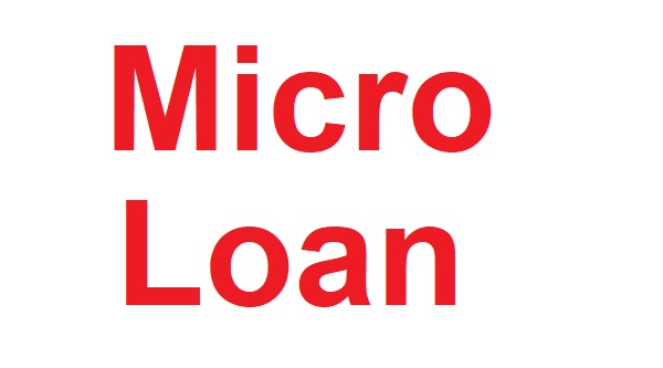 what is microloan