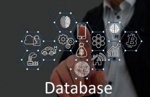 Database