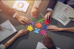 partner organization the contribute