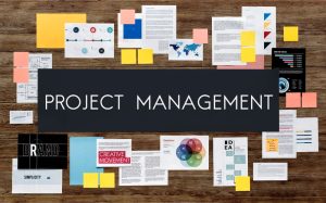 End-to-End Project Management